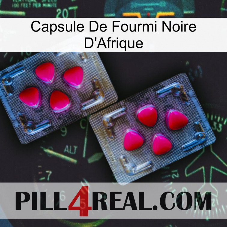 Africa Black Ant Capsule 15